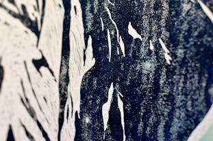 Not found "Echoes" #01